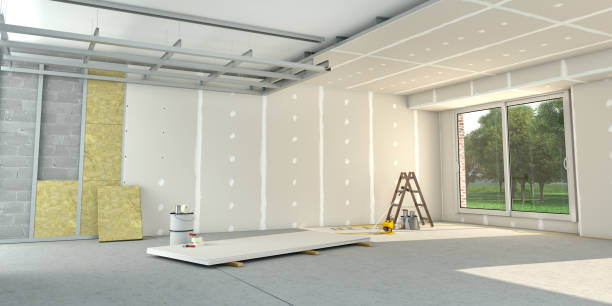 Best Insulation Removal  in Washburn, ND